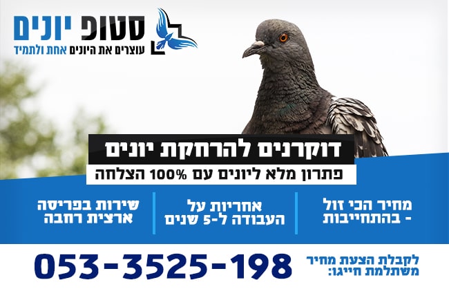 דוקרנים להרחקת יונים