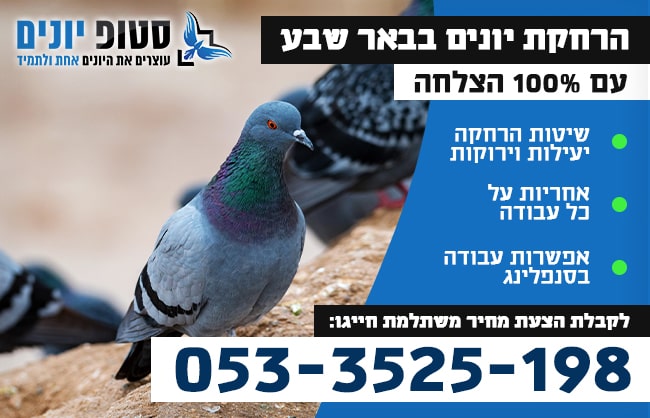 הרחקת יונים בבאר שבע