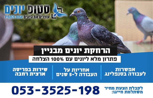 הרחקת יונים מבניין