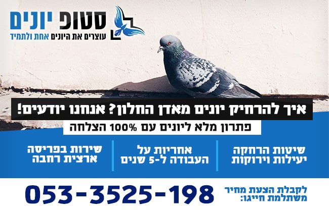 הרחקת יונים מאדן החלון