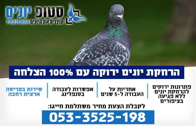 הרחקת יונים ירוקה