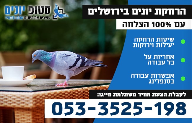 הרחקת יונים בירושלים