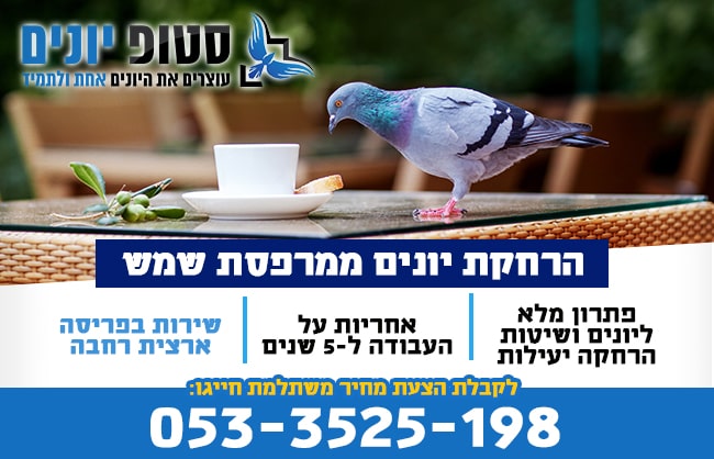 הרחקת יונים ממרפסת שמש