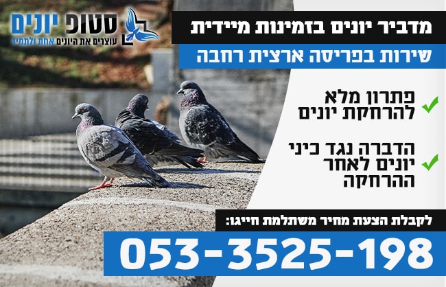מדביר יונים בזמינות מיידית