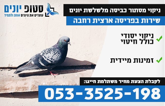 ניקוי מסתור כביסה מצואת יונים