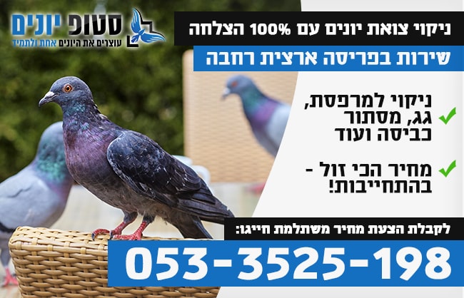 ניקוי צואת יונים