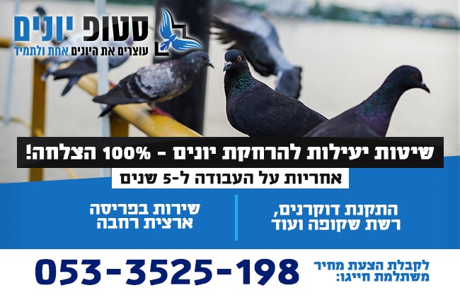 שיטות להרחקת יונים
