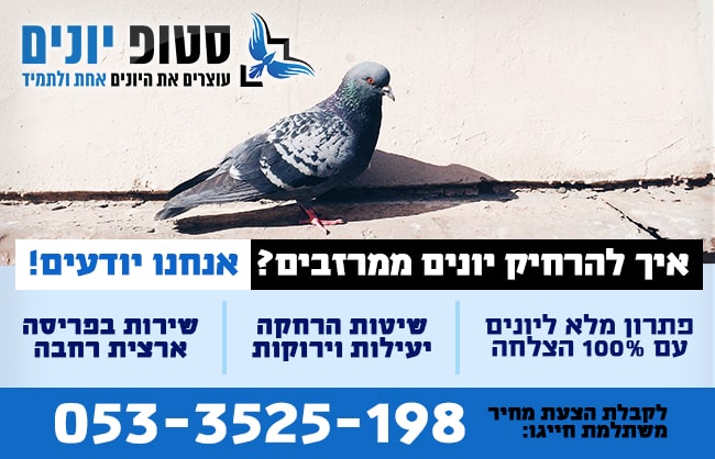 הרחקת יונים ממרזבים