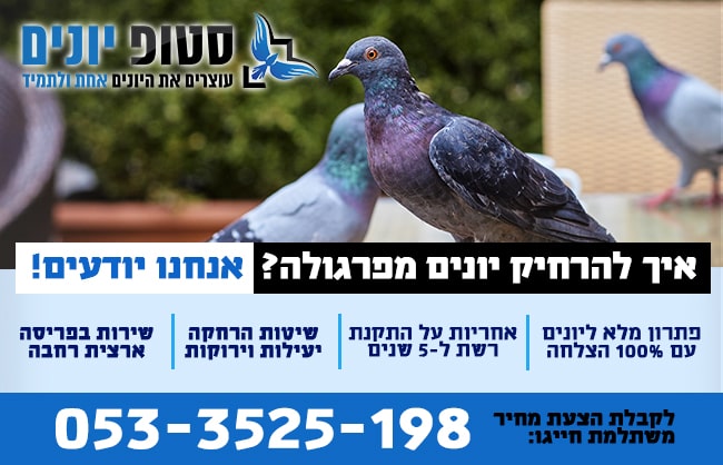 הרחקת יונים מפרגולה