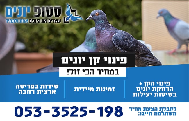 פינוי קן יונים