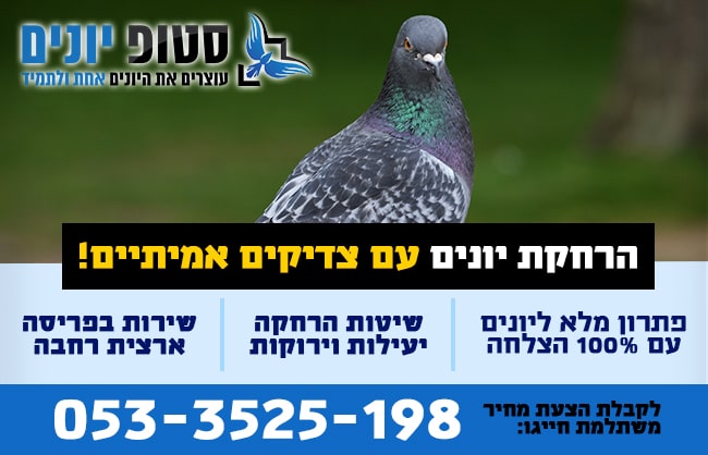 הרחקת יונים יצאת צדיק 