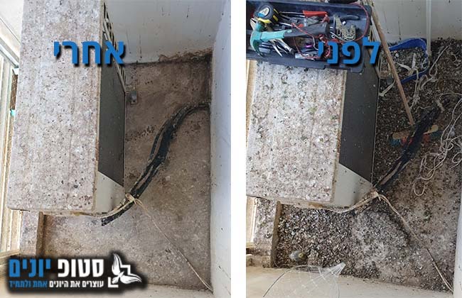 מסתור כביסה מלוכלך לפני ואחרי