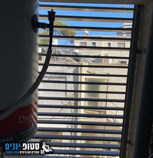 התקנת רשת יונים בתל אביב