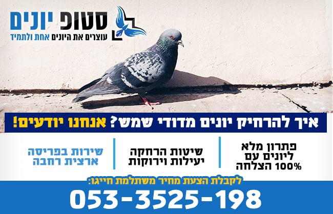 הרחקת יונים מדודי שמש