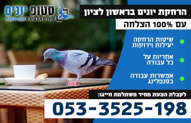 הרחקת יונים בראשון לציון