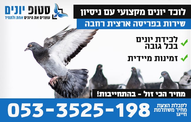 לוכד יונים