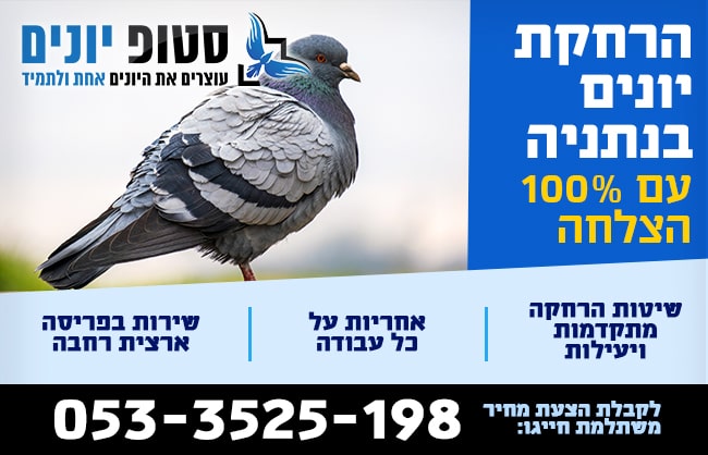 הרחקת יונים בנתניה