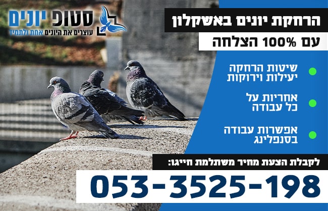 הרחקת יונים באשקלון