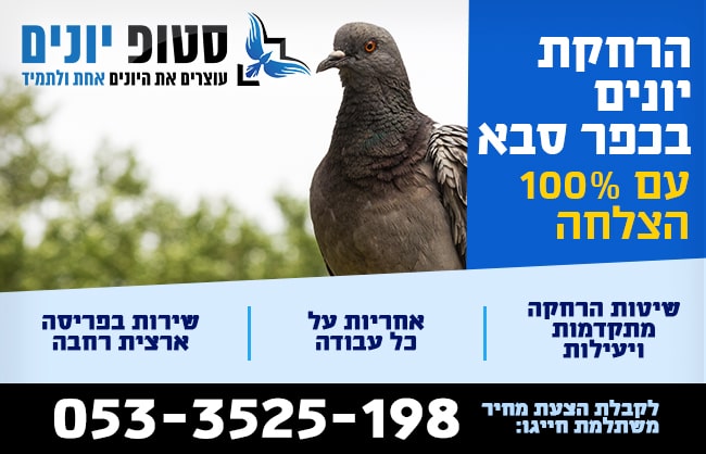 הרחקת יונים בכפר סבא