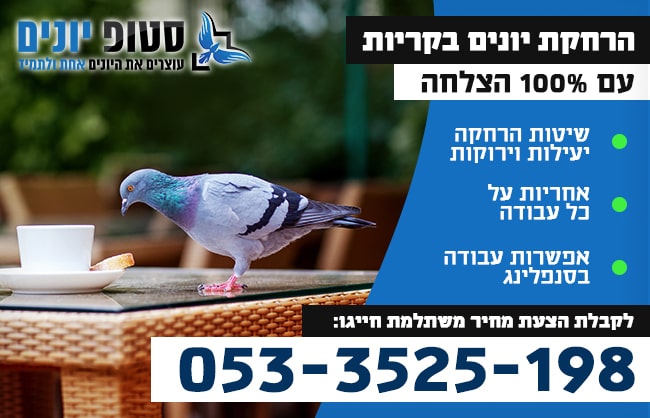 הרחקת יונים בקריות