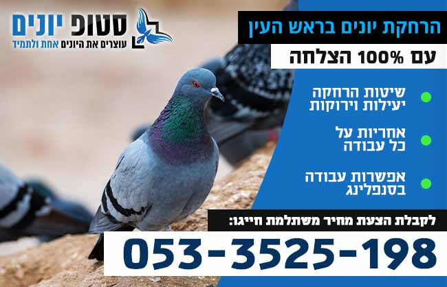 הרחקת יונים בראש העין