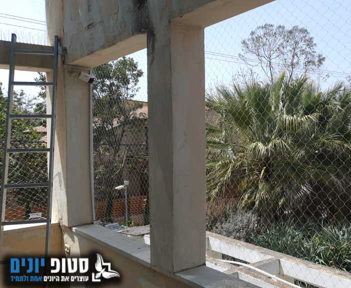 התקנת רשת נגד יונים בכפר סבא
