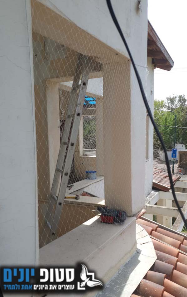 התקנת רשת יונים ברחובות