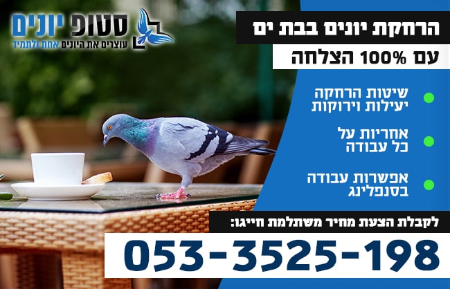 הרחקת יונים בבת ים