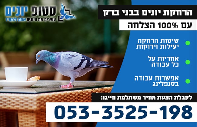 הרחקת יונים בבני ברק