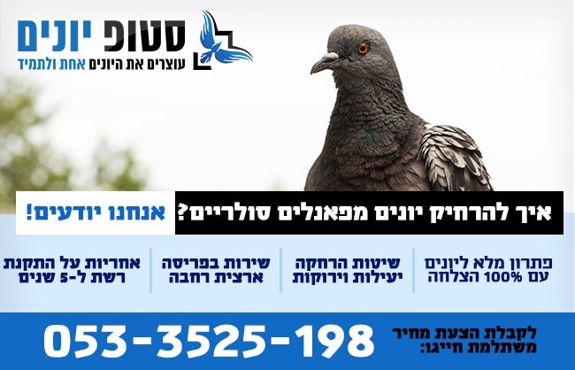 הרחקת יונים מפאנלים סולריים