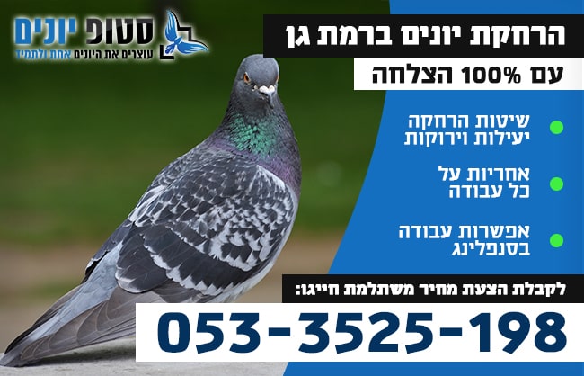 הרחקת יונים ברמת גן