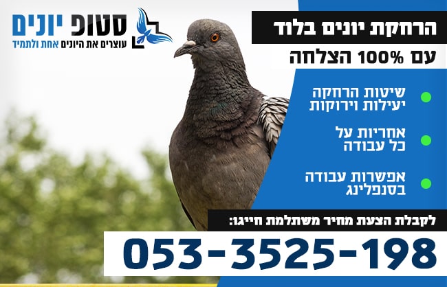 הרחקת יונים בלוד