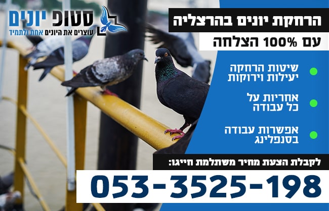 הרחקת יונים בהרצליה