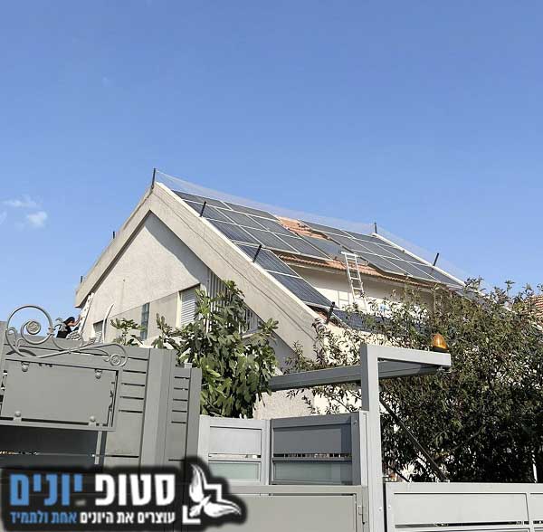 הרחקת יונים מגג