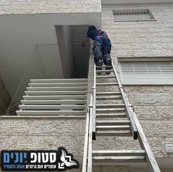 הרחקת יונים בגובה בלוד