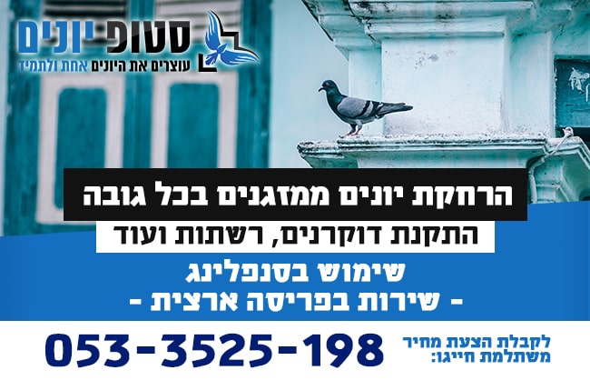 הרחקת יונים מהמזגן
