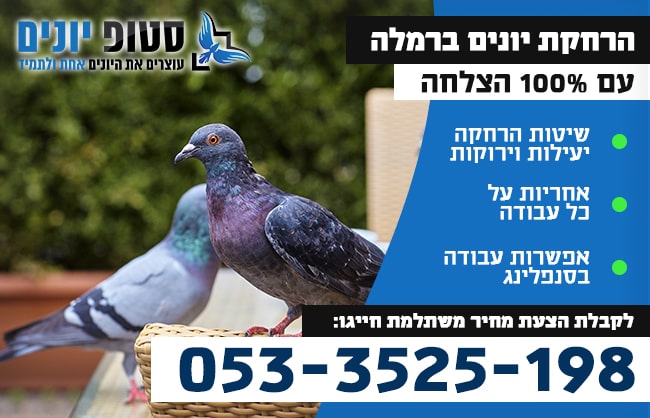 הרחקת יונים ברמלה