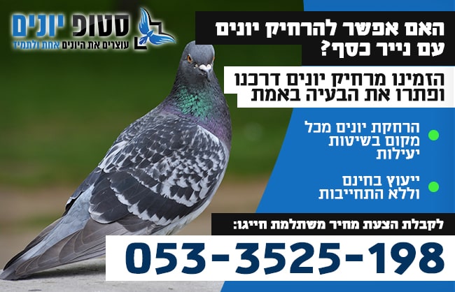 האם נייר כסף נגד יונים באמת עוזר