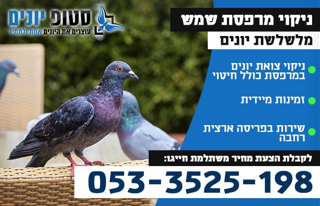 ניקוי מרפסת שמש