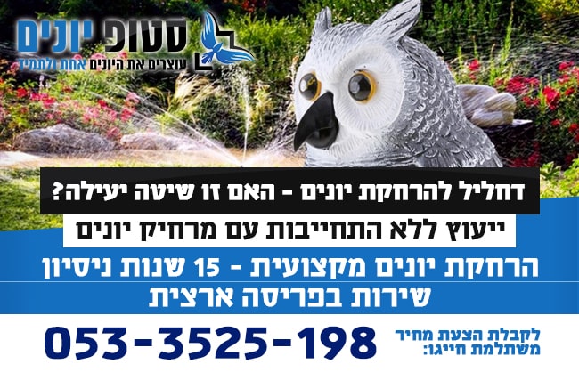 דחליל להרחקת יונים