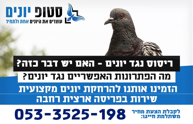 ריסוס נגד יונים
