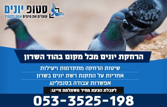 הרחקת יונים בהוד השרון