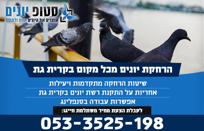 הרחקת יונים בקרית גת