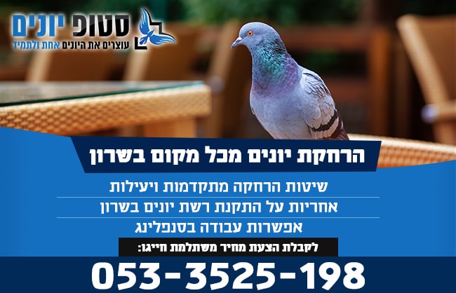 הרחקת יונים בשרון