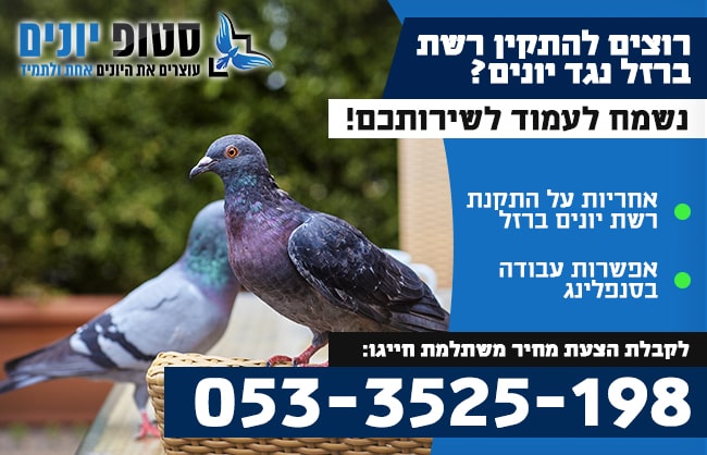 רשת יונים ברזל