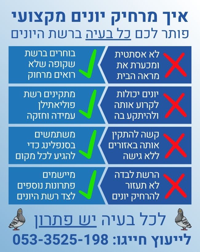 איך מתקינים רשת נגד יונים