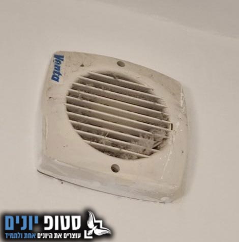 איך להוציא יונה מהוונטה