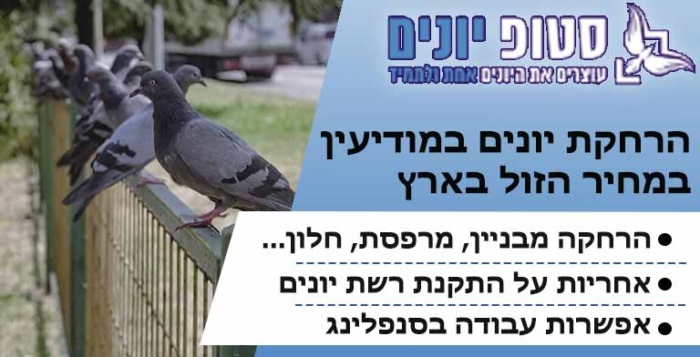 הרחקת יונים במודיעין
