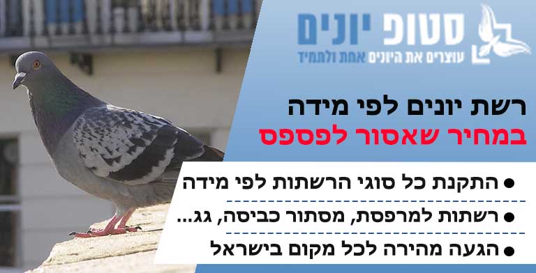 רשת יונים לפי מידה