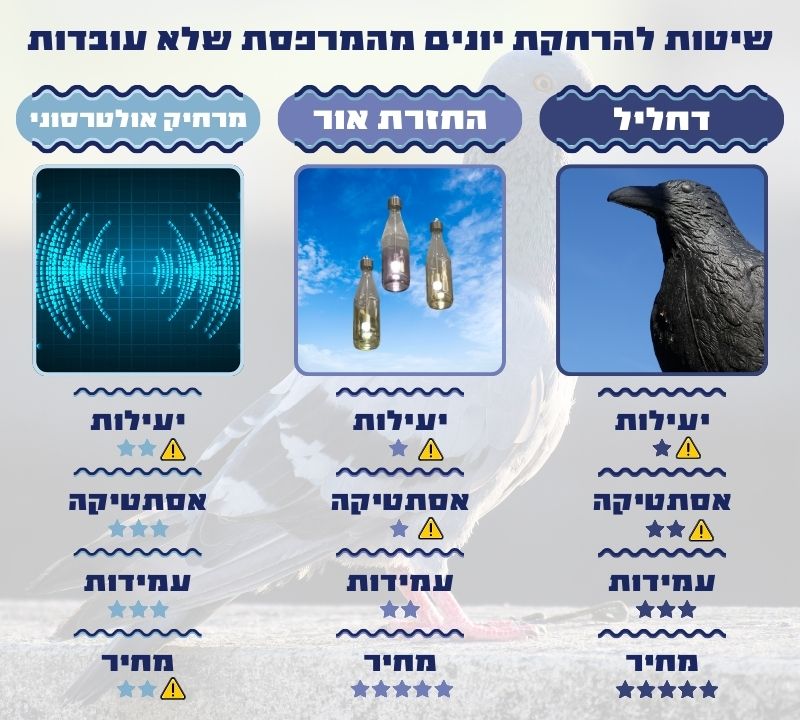 שיטות להרחקת יונים מהמרפסת שלא עובדות